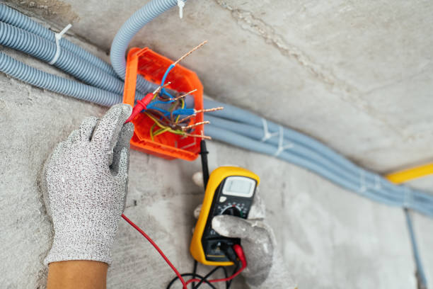 Best Electrician for Home Renovation  in Harvey, IL